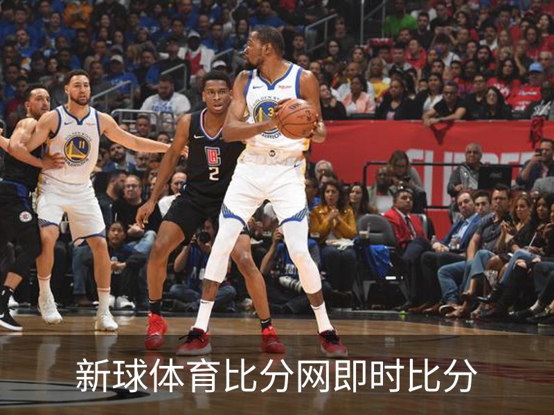 走进新球体育比分网即时比分